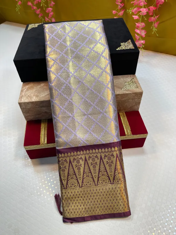 Light_Grey_Semi_Kanchi_Silk_Brocade_Contrast_Brown_Border_Banarasi_Saree_MS_SK11