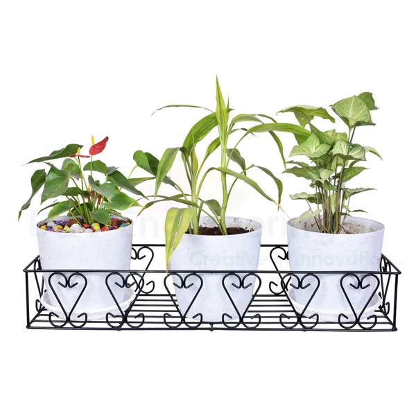 Wall_Fixing_Wall_Mounting_Hanging_Shelves_Wall_Hanging_Plant_Planter_Pot_Stand_Bracket_For_Balcony_Black_-_Large,_Pack_Of_1_(_DVPOT-22B-L)