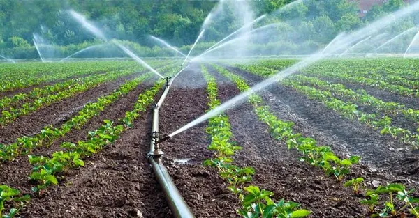 Pack_of_5_Black_farm_Irrigation_Water_Sprikler_(EP-50)