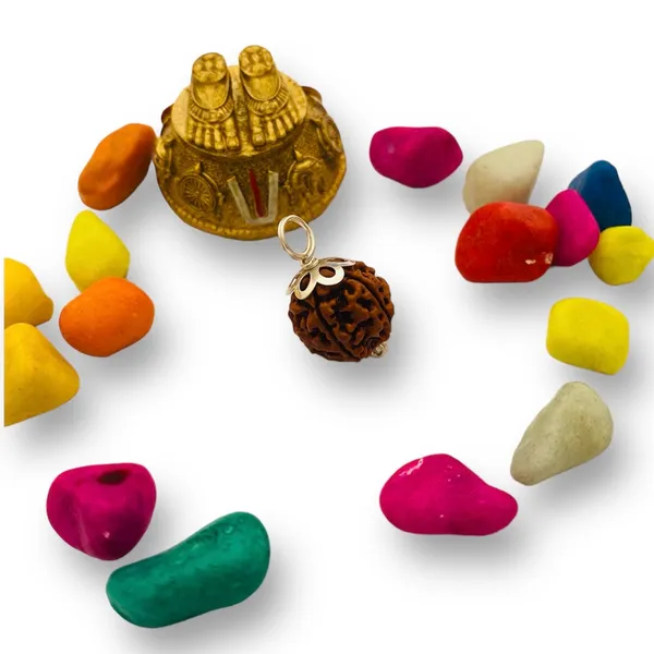 7_Mukhi_Rudhraksha_certified_(Nepali)