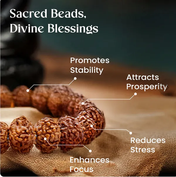 7_MUKHI_RUDHRKASH_BRACELET_LAB_CERTIFIED_