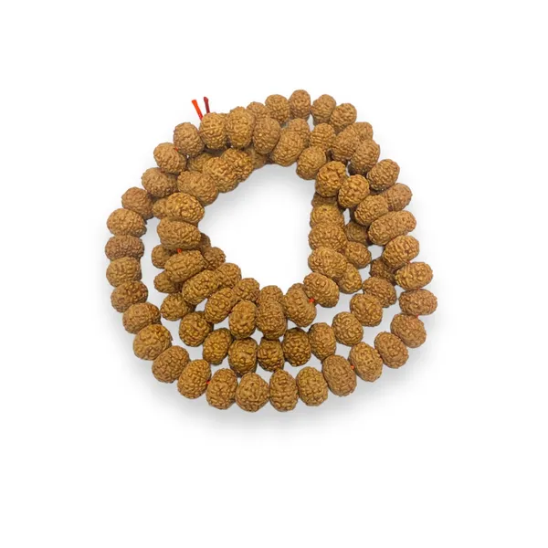 9_MUKHI_RUDHRAKSH_MALA_LAB_CERTIFIED