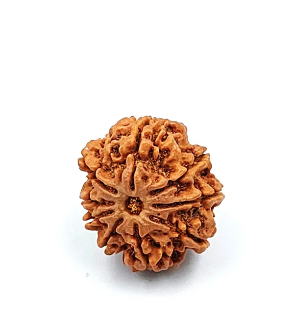 9_MUKHI_RUDHRKASH_LAB_CERTIFIED_(NEPALI)