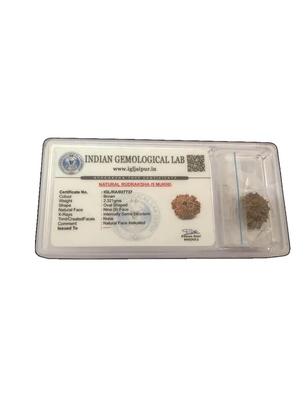 9_MUKHI_RUDHRKASH_LAB_CERTIFIED_(NEPALI)