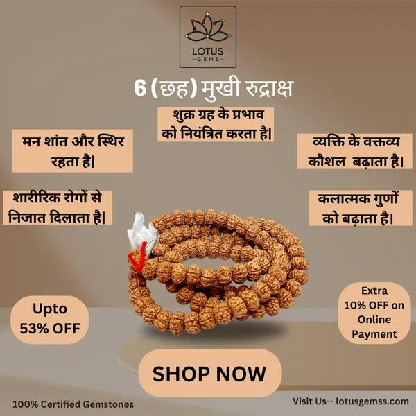 6_MUKHI_RUDHRAKSH_MALA_LAB_CERTIFIED