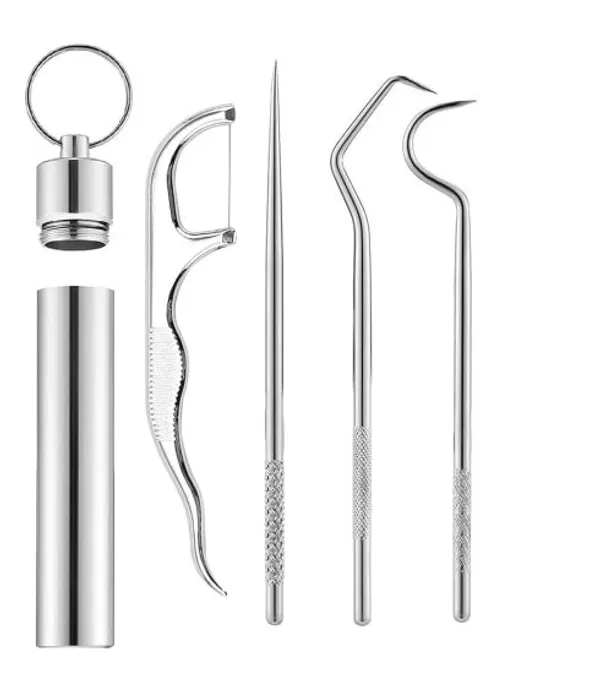 1_Set/_4pcs_Portable_Toothpicks_Teeth_Braces_Cleaner_Set_Tools_Pocket_Kit,_Dental_Floss_Toothpicks_Set_Reusable_Metal_Toothpicks_Rooth_Cleaning_Kit_with_Holder_for_Outdoor_Picnic_Camping_Traveling.