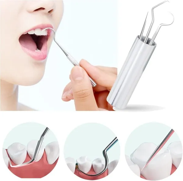 1_Set/_4pcs_Portable_Toothpicks_Teeth_Braces_Cleaner_Set_Tools_Pocket_Kit,_Dental_Floss_Toothpicks_Set_Reusable_Metal_Toothpicks_Rooth_Cleaning_Kit_with_Holder_for_Outdoor_Picnic_Camping_Traveling.