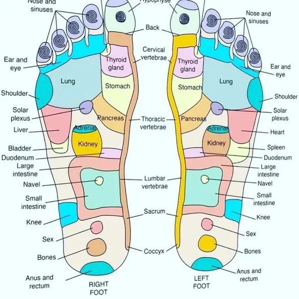 Acupressure_Reflexology_Ankle_Socks_for_Trigger_Point_Massage_for_Men,_Women_with_Amber_Acupuncture_Point_Massage_Stick_Reflexology_Chart_of_Both_Sole_and_Instep_1_Pairs_(Colour:_White).