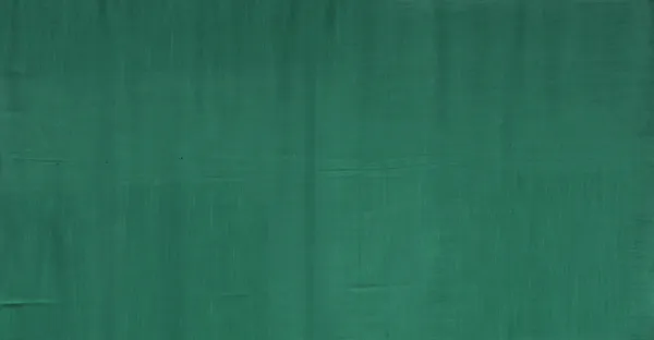 Pack_of_2_Cotton_Bottle_Green_Sheer_Summer_fun_Tab_Top_Curtain_Set_for_Window_and_Door