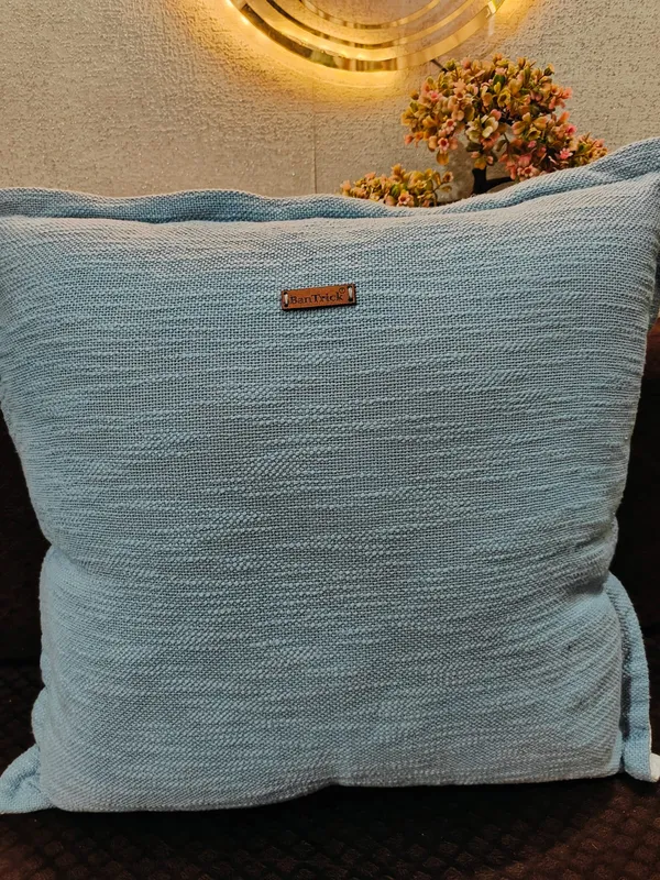 Throw_Chushion-Decorative_Cushions_For_Sofas_And_Beds