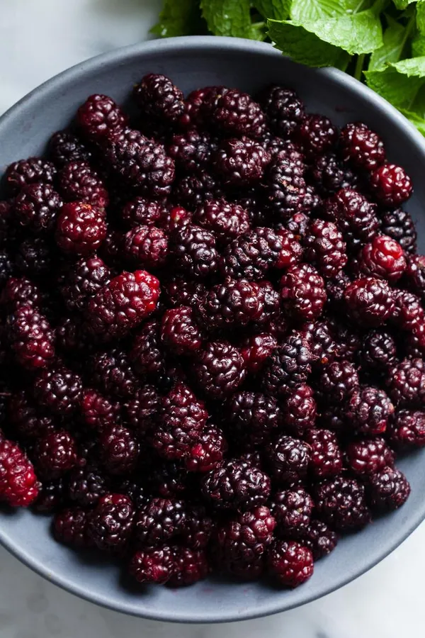 Queen’s_Mulberry_Plant