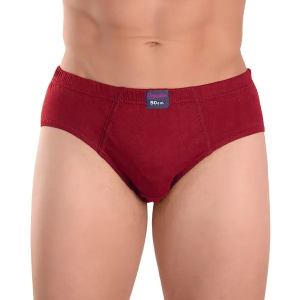 Pack_of_6_Cotton_underwear