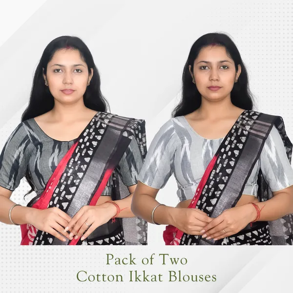 Pack_of_Two_Riyashree_Ikkat_Print_Ready-to-Wear_Stitched_Blouses_for_Women