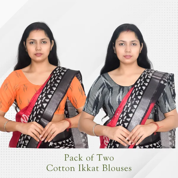 Pack_of_Two_Riyashree_Ikkat_Print_Ready-to-Wear_Stitched_Blouses_for_Women