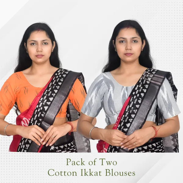 Pack_of_Two_Riyashree_Ikkat_Print_Ready-to-Wear_Stitched_Blouses_for_Women