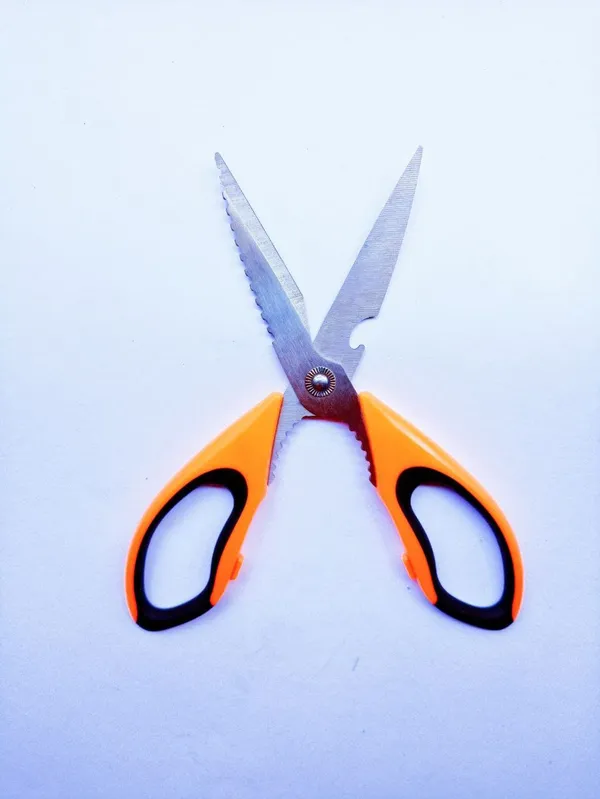 _Multipurpose_Kitchen_Household_and_Garden_Scissor_(8.5")