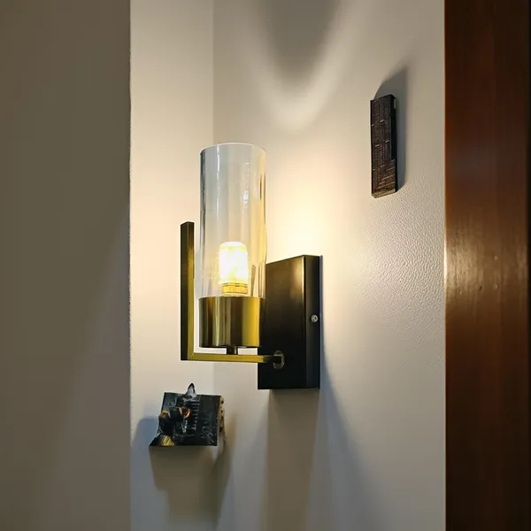 Avior_Black_Wall_Lamps_For_Bedroom,_Living_Room,_Restaurant_Decoration_Wall_Light,_Cafe_Lamps_And_Wall_Lights_For_Gallery_(Clear_Glass)