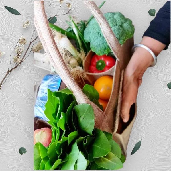 Handcrafted_Laminated_Jute_Travelling_/_Grocery_Bag