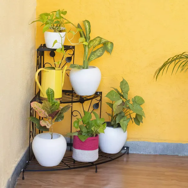 Black_3_Tier_Corner_Pot_Stand_Metal