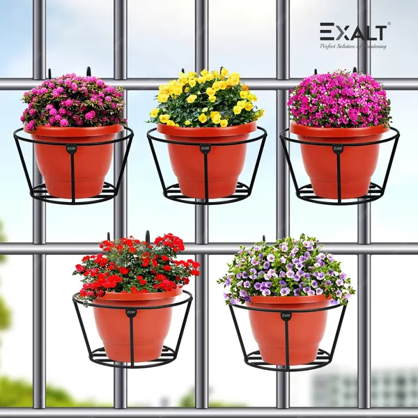 Pack_Of_4_Black_Air_Nest_Hanging_Stand_Flower_Pot_Holders
