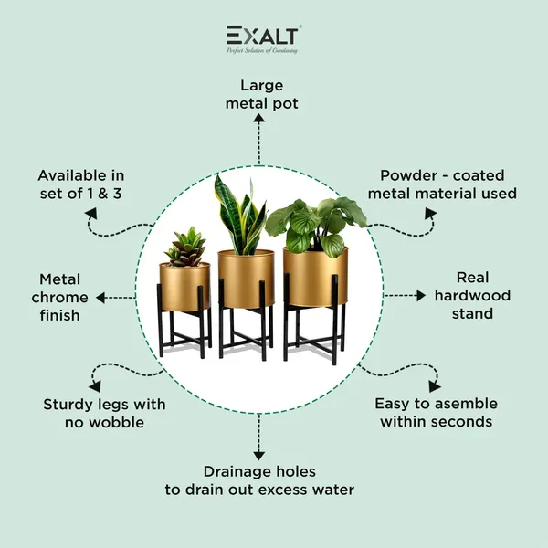 Pack_Of_3_Gold_Centurial_Metal_Plant_Pot_With_Stand