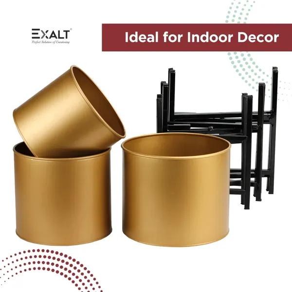 Pack_Of_3_Gold_Centurial_Metal_Plant_Pot_With_Stand