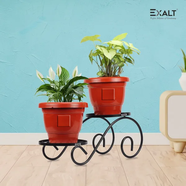 Pack_Of_2_Black_Plant_Twinset_Stand_For_Stylish_Home_Decor