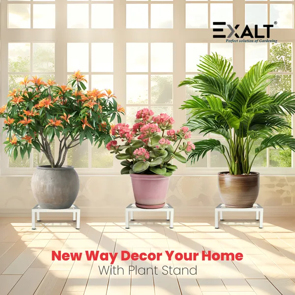 Pack_Of_4_White_Square_Plant_Stands_For_Balcony_Heavy_Road