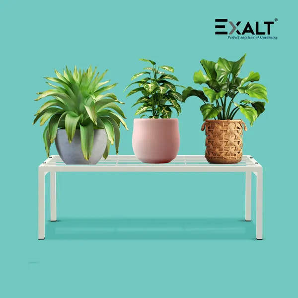 Pack_Of_4_White_Apollo_Metal_Plant_Pot_Stand_For_Garden