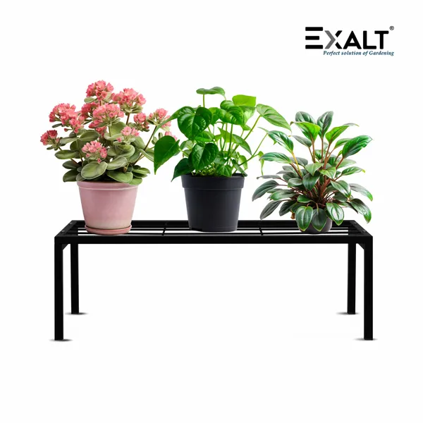 Pack_Of_2_Black_Apollo_Metal_Plant_Pot_Stand_For_Garden
