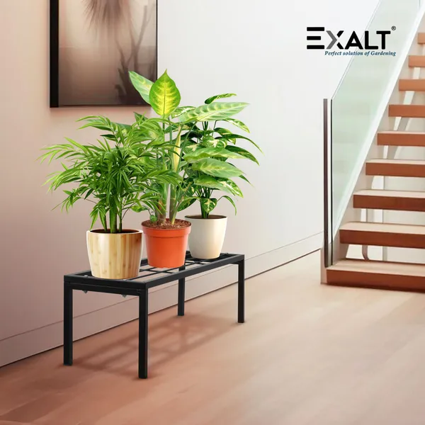 Pack_Of_2_Black_Apollo_Metal_Plant_Pot_Stand_For_Garden