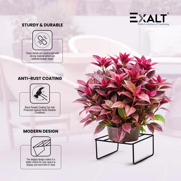 Pack_Of_5_Black_Durable_Easy_Pot_Stand_Square