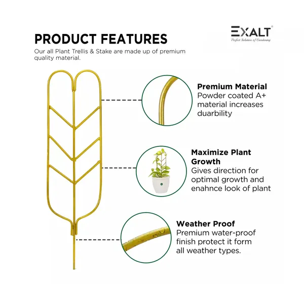 Pack_Of_3_Gold_Leafy_Metal_Plant_Trellis_For_Plant_Support