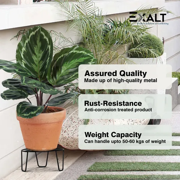 Pack_Of_5_Black_Strong_Legs_Metal_Round_Stands_For_Plant_Pot