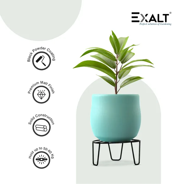 Pack_Of_5_Black_Strong_Legs_Metal_Round_Stands_For_Plant_Pot