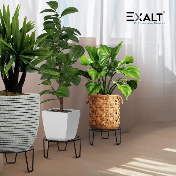 Pack_Of_5_Black_Strong_Legs_Metal_Round_Stands_For_Plant_Pot