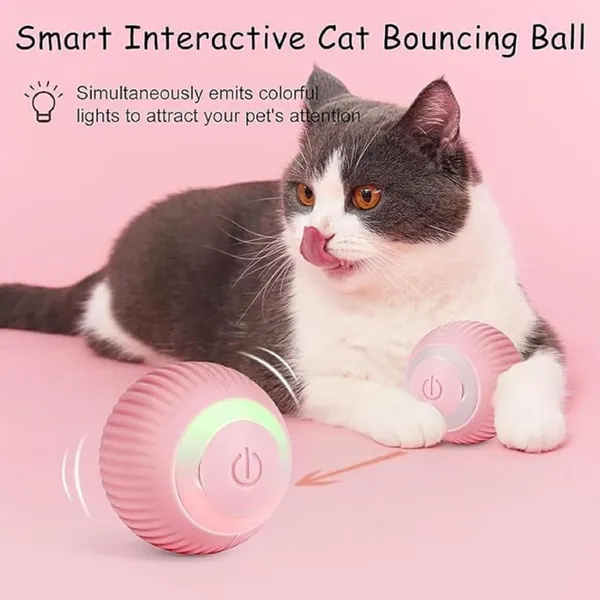 PET_Toy|_Interactive_Cat_Ball_Toys,_Automatic_360�_Self-Rotating_Rolling_Ball_with_USB_Rechargeable_Moving,_Lighting,_Pet_Exercise_Kitten_&_Dog_Playing_Smart_Cat_Toy_|_Multicolor