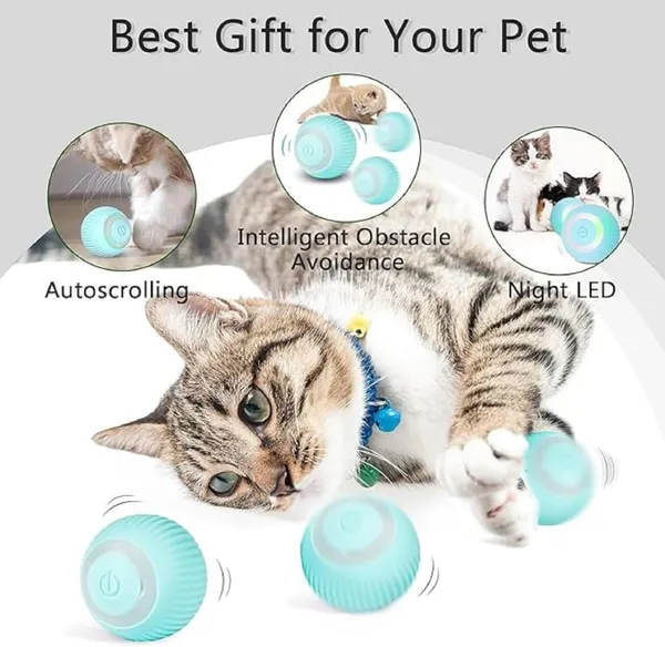 PET_Toy|_Interactive_Cat_Ball_Toys,_Automatic_360�_Self-Rotating_Rolling_Ball_with_USB_Rechargeable_Moving,_Lighting,_Pet_Exercise_Kitten_&_Dog_Playing_Smart_Cat_Toy_|_Multicolor