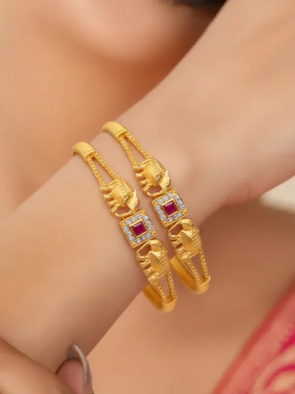 Parul_Bangle_(_Set_of_4)