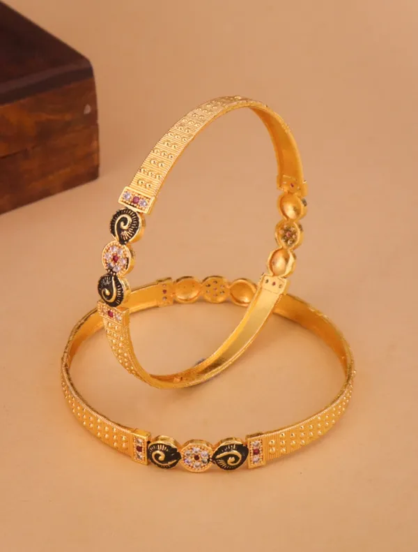 Riya_Bangle_(_Set_of_2_)
