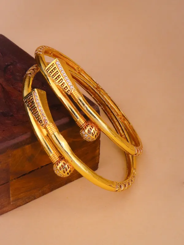 Ekta_Bangle._(_Set_of_2)