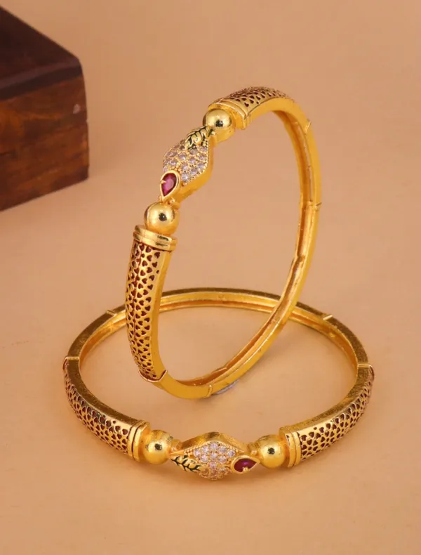 Sapna_Bangle._(_Set_of_2_)