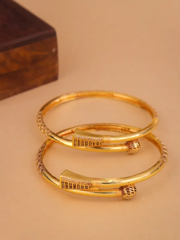 Ekta_Bangle._(_Set_of_2)
