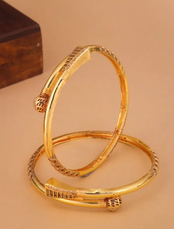 Ekta_Bangle._(_Set_of_2)