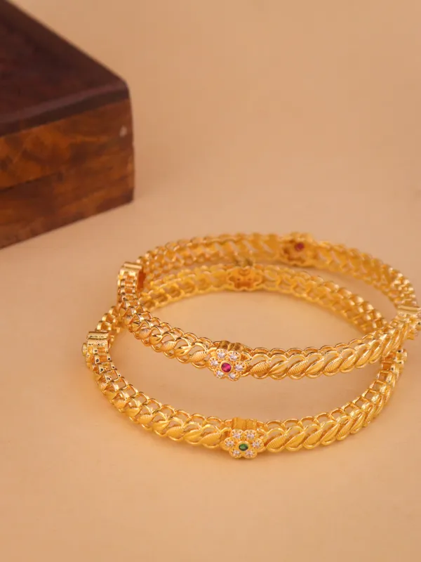 Sejal_Bangle._(Set_of_2)