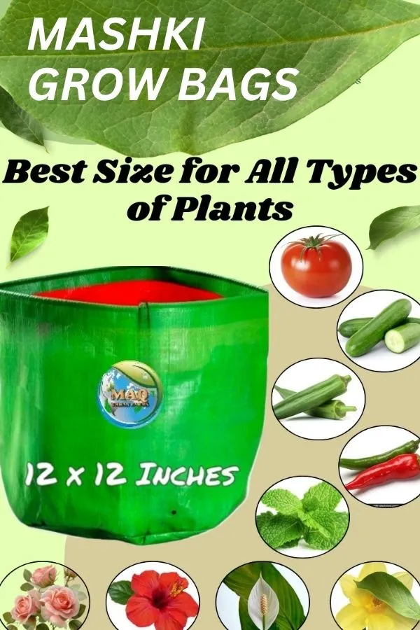 12"_x_12"_-_2nos,_15"_x_15"_-_2nos,_Pack_of_4_Grow_Bags_for,_Home_Gardening,_Terrace_,_Balcony_Gardening_Grow_Bag