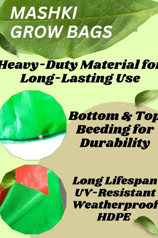 12"_x_12"_-_3nos,_15"_x_15"_-_3nos,_Pack_of_6_Grow_Bags_for,_Home_Gardening,_Terrace_,_Balcony_Gardening_Grow_Bag