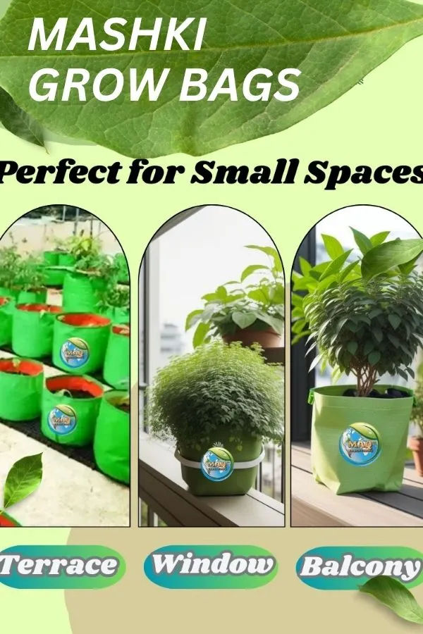 12"_x_12"_-_3nos,_15"_x_15"_-_3nos,_Pack_of_6_Grow_Bags_for,_Home_Gardening,_Terrace_,_Balcony_Gardening_Grow_Bag