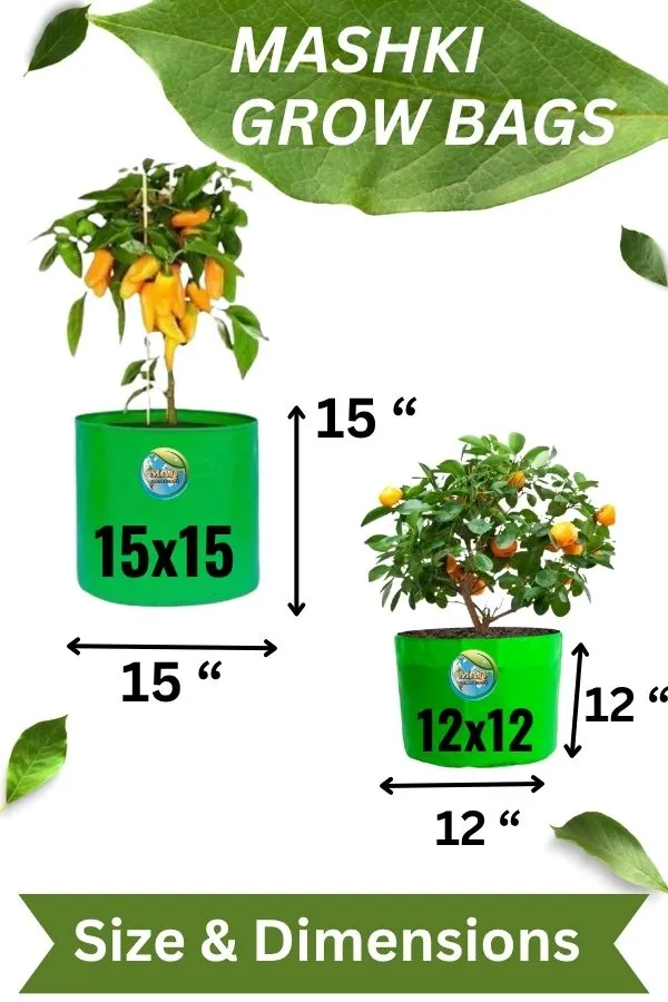 12"_x_12"_-_3nos,_15"_x_15"_-_3nos,_Pack_of_6_Grow_Bags_for,_Home_Gardening,_Terrace_,_Balcony_Gardening_Grow_Bag