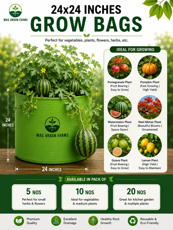 24"x24"_Breathable_Fabric_UV_Protection_Grow_Bag_(Pack_of_3)_Green_Terrace_Gardening_Grow_Bag_-_250_Gsm_Grow_Bag_For_Home_Gardening_-_Ideal_For_Large_Plants_Such_As_Dwarf_Mango,_Papaya,_Guava,_Apple,_And_More_|_MAQ